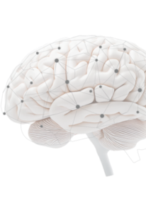 Automation Orchestration Digital Transformation - We Are CORTEX